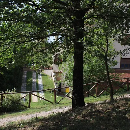 Tenuta I Lecci Farma *