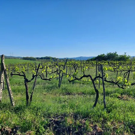 Farma Tenuta I Lecci *