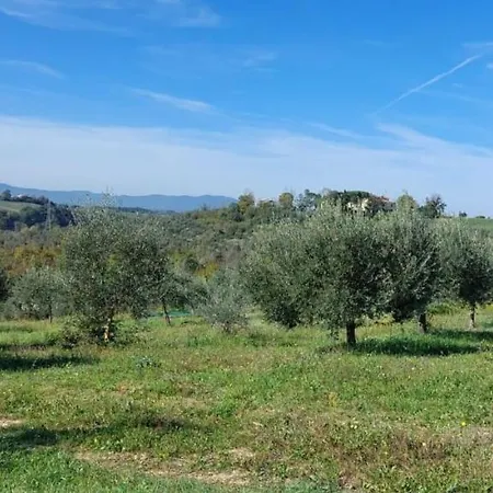 Tenuta I Lecci Farma Terranuova Bracciolini