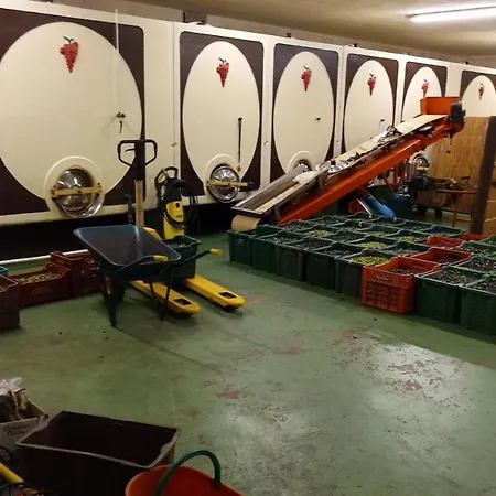 Tenuta I Lecci Farma