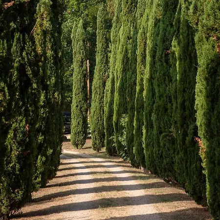 Tenuta I Lecci