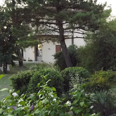 Tenuta I Lecci Terranuova Bracciolini